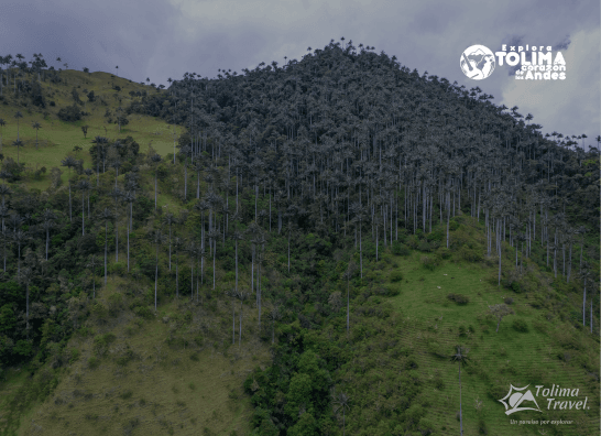 Explora Tolima — Explora Tolima